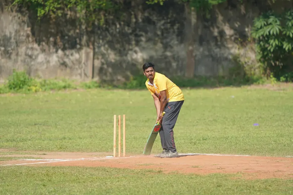 Cricket Stumps and Bails Buying Guide