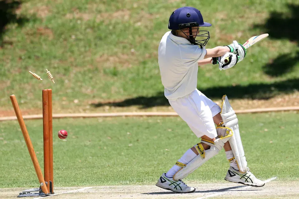 Wicket Keeping Pads Selection Guide: Your Complete Companion for the Season